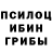 Псилоцибиновые грибы Magic Shrooms Precious Akande
