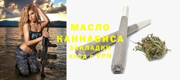 индика Гусев