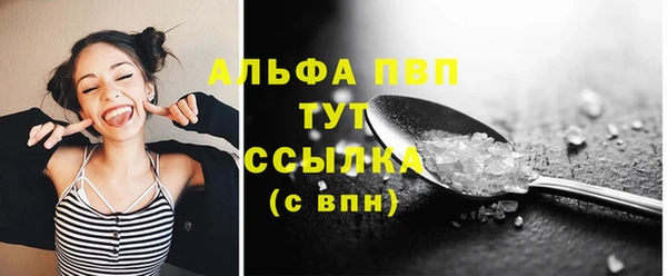 винт Гусиноозёрск