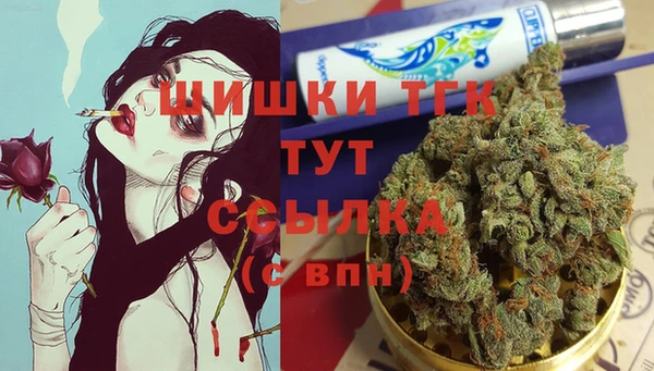 винт Гусиноозёрск
