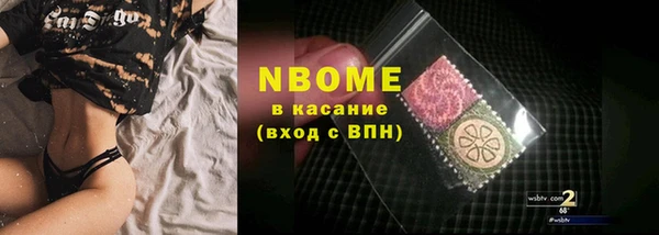 индика Гусев