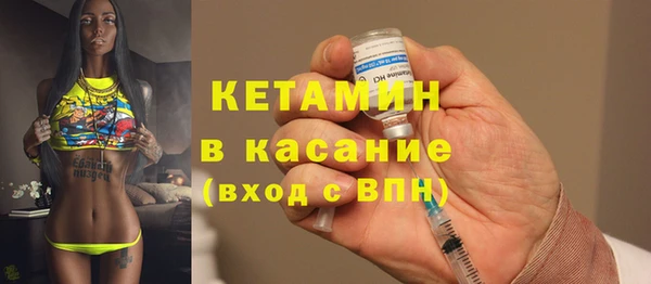 индика Гусев