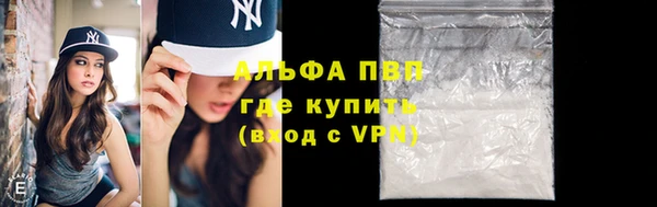 индика Гусев