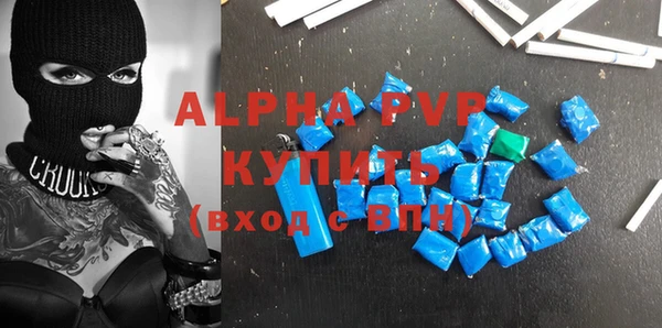 индика Гусев