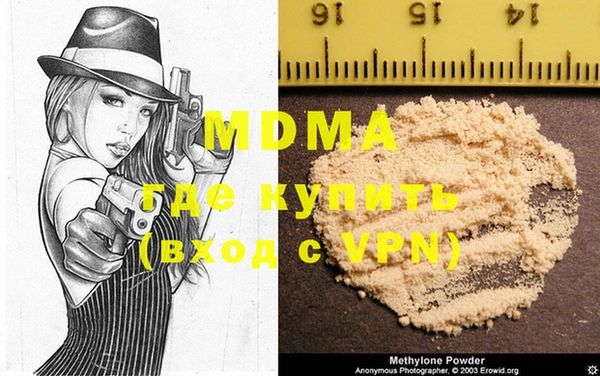 индика Гусев
