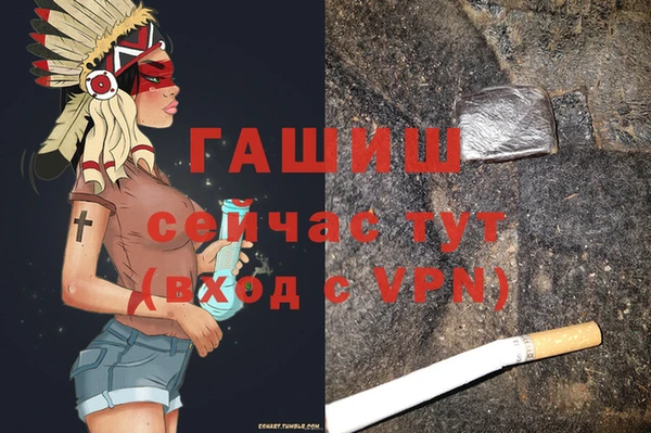индика Гусев