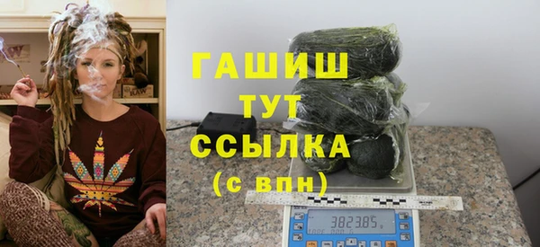 индика Гусев