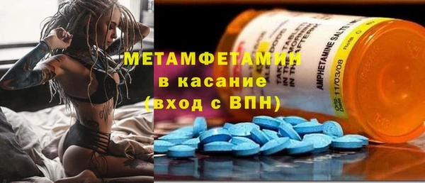 индика Гусев