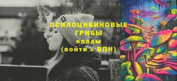 винт Гусиноозёрск
