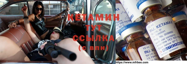 индика Гусев
