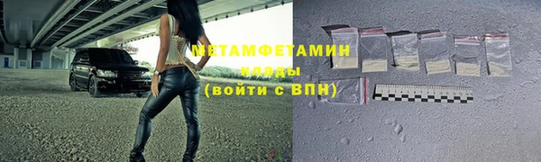 индика Гусев