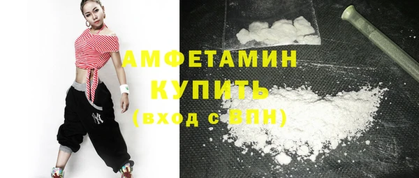 индика Гусев