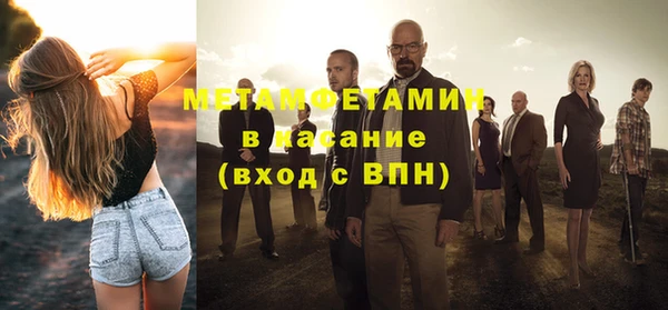 индика Гусев