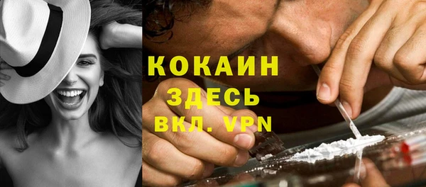 индика Гусев